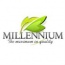 Millenium